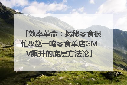 效率革命：揭秘零食很忙&赵一鸣零食单店GMV飙升的底层方法论