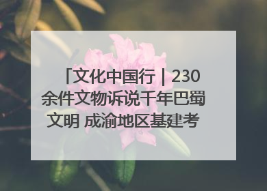 文化中国行｜230余件文物诉说千年巴蜀文明 成渝地区基建考古成果展开展