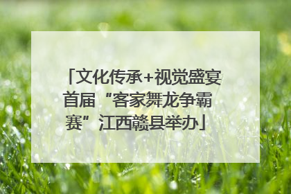 文化传承+视觉盛宴 首届“客家舞龙争霸赛”江西赣县举办
