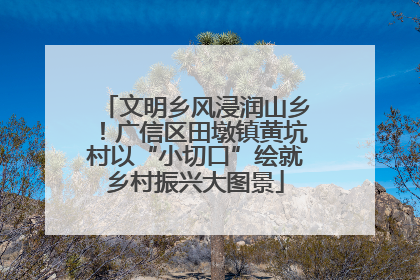 文明乡风浸润山乡！广信区田墩镇黄坑村以“小切口”绘就乡村振兴大图景