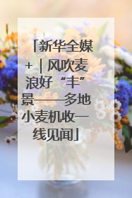 新华全媒+｜风吹麦浪好“丰”景——多地小麦机收一线见闻