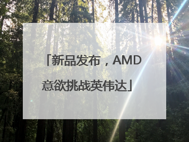 新品发布，AMD意欲挑战英伟达