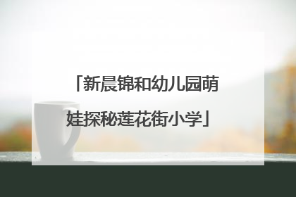 新晨锦和幼儿园萌娃探秘莲花街小学