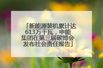 新能源装机累计达613万千瓦，申能集团在第三届碳博会发布社会责任报告