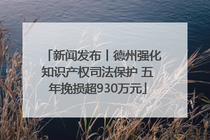 新闻发布丨德州强化知识产权司法保护 五年挽损超930万元