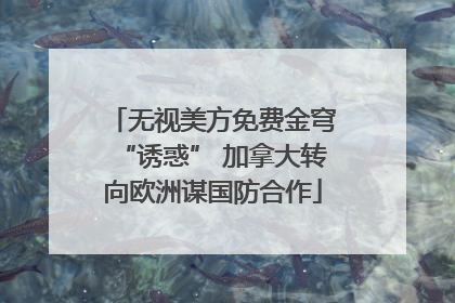 无视美方免费金穹“诱惑” 加拿大转向欧洲谋国防合作