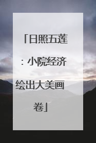 日照五莲：小院经济绘出大美画卷