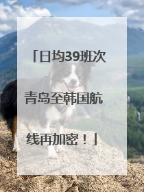 日均39班次 青岛至韩国航线再加密！