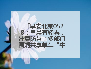 早安北京0528：早晨有轻雾，注意防暑；多部门围剿共享单车“牛皮癣”