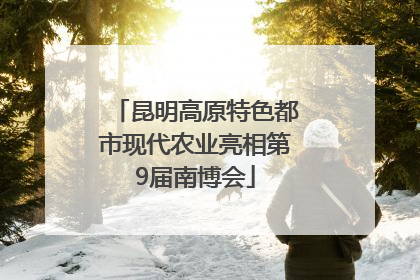 昆明高原特色都市现代农业亮相第9届南博会