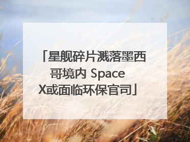 星舰碎片溅落墨西哥境内 SpaceX或面临环保官司