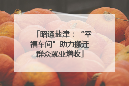 昭通盐津：“幸福车间”助力搬迁群众就业增收