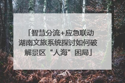 智慧分流+应急联动 湖南文旅系统探讨如何破解景区“人海”困局