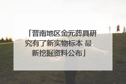 晋南地区金元葬具研究有了新实物标本 最新挖掘资料公布