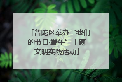 普陀区举办“我们的节日·端午”主题文明实践活动