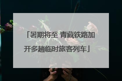 暑期将至 青藏铁路加开多趟临时旅客列车