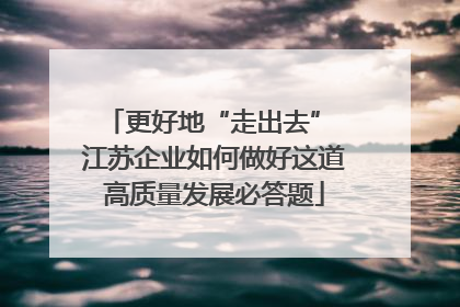 更好地“走出去” 江苏企业如何做好这道高质量发展必答题