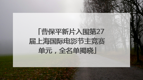 曹保平新片入围第27届上海国际电影节主竞赛单元，全名单揭晓