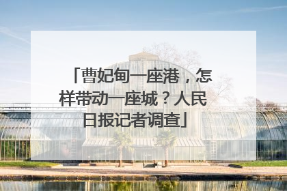 曹妃甸一座港，怎样带动一座城？人民日报记者调查