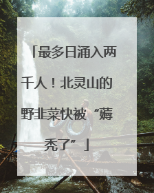 最多日涌入两千人！北灵山的野韭菜快被“薅秃了”