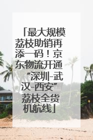 最大规模荔枝助销再添一码！京东物流开通“深圳-武汉-西安” 荔枝全货机航线