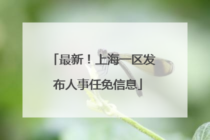 最新！上海一区发布人事任免信息