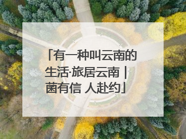 有一种叫云南的生活·旅居云南｜菌有信 人赴约