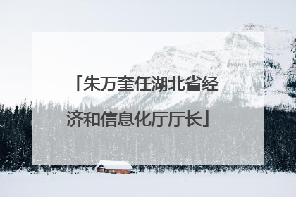 朱万奎任湖北省经济和信息化厅厅长