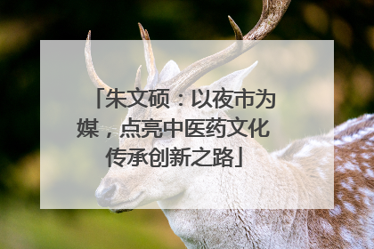 朱文硕：以夜市为媒，点亮中医药文化传承创新之路