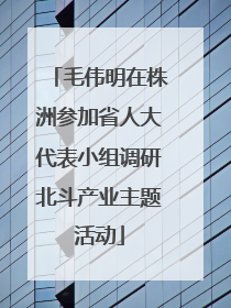 毛伟明在株洲参加省人大代表小组调研北斗产业主题活动