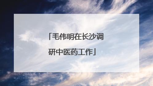毛伟明在长沙调研中医药工作