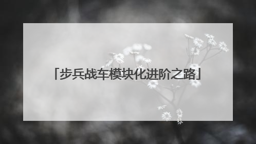 步兵战车模块化进阶之路