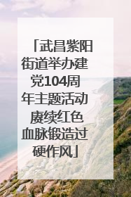 武昌紫阳街道举办建党104周年主题活动 赓续红色血脉锻造过硬作风