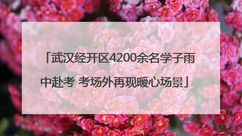 武汉经开区4200余名学子雨中赴考 考场外再现暖心场景