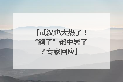 武汉也太热了！“鸽子”都中暑了？专家回应