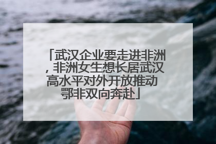 武汉企业要走进非洲，非洲女生想长居武汉 高水平对外开放推动鄂非双向奔赴