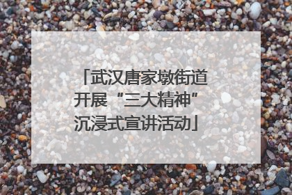 武汉唐家墩街道开展“三大精神”沉浸式宣讲活动