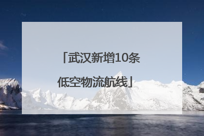 武汉新增10条低空物流航线