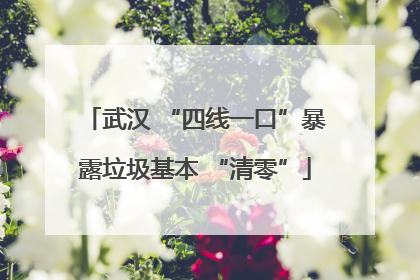 武汉 “四线一口”暴露垃圾基本 “清零”