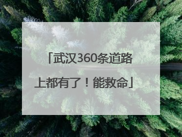 武汉360条道路上都有了！能救命