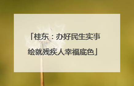 桂东：办好民生实事 绘就残疾人幸福底色