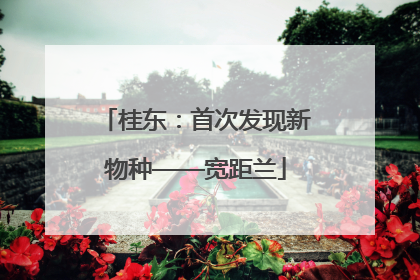 桂东：首次发现新物种——宽距兰