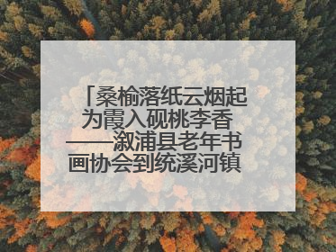 桑榆落纸云烟起 为霞入砚桃李香——溆浦县老年书画协会到统溪河镇学校开展书画进校园活动