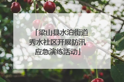 梁山县水泊街道秀水社区开展防汛应急演练活动