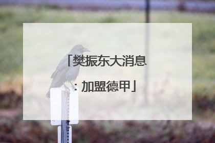 樊振东大消息：加盟德甲