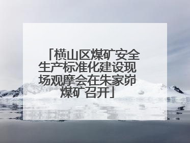 横山区煤矿安全生产标准化建设现场观摩会在朱家峁煤矿召开