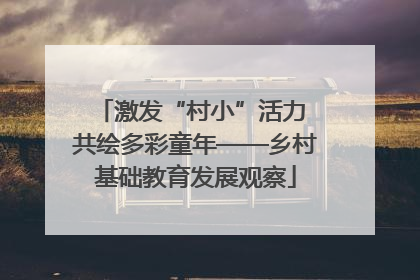 激发“村小”活力 共绘多彩童年——乡村基础教育发展观察