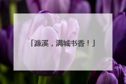 濂溪，满城书香！