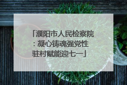 濮阳市人民检察院：凝心铸魂强党性 驻村赋能迎七一