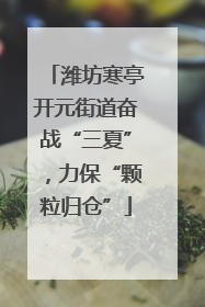 潍坊寒亭开元街道奋战“三夏”，力保“颗粒归仓”